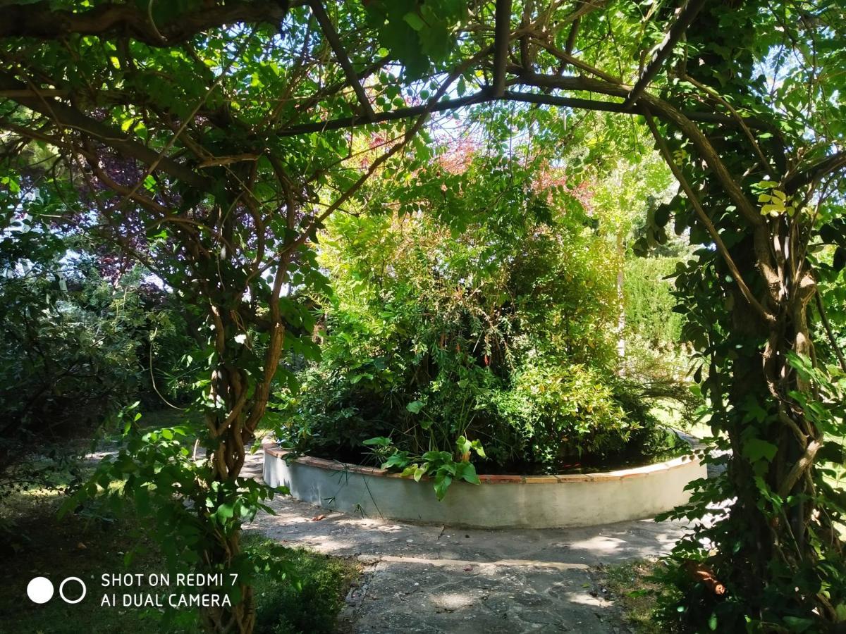 El Sester Bed & Breakfast Torremanzanas Exterior photo